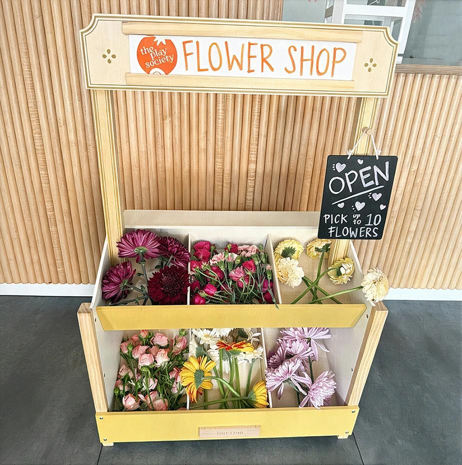 Step into Florida: New Inspired Play Ideas on Tiny Land Grocery Store!