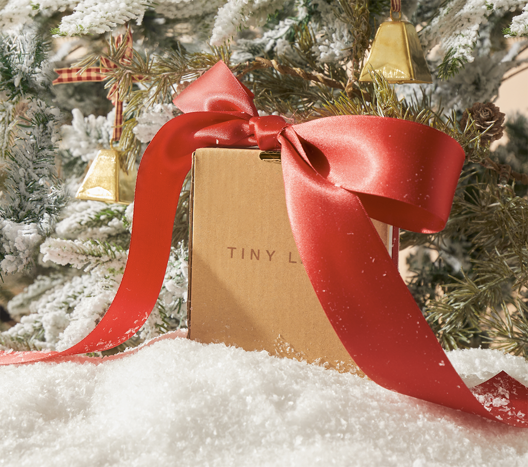 A gift box tied with a red bow is placed under the indoor Christmas tree.