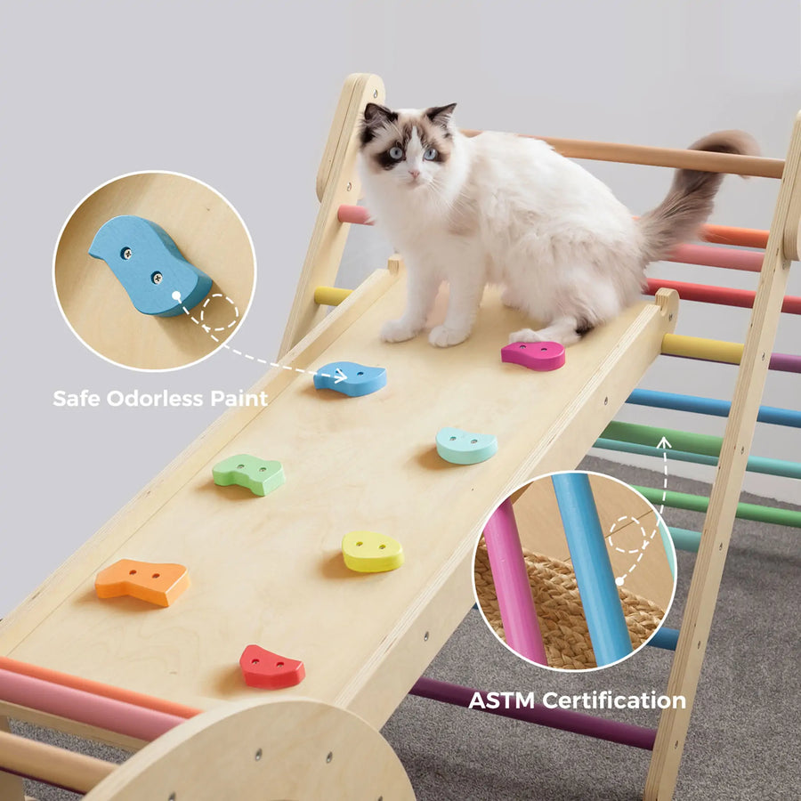 A fluffy white and gray cat sits on the Tiny Land Adventure Playground Gift Set, featuring a climbing set with pad, balance beam, and stepping stones. Labels highlight safe odorless paint, ASTM certification, and a comfy padded play cushion.|rainbow color