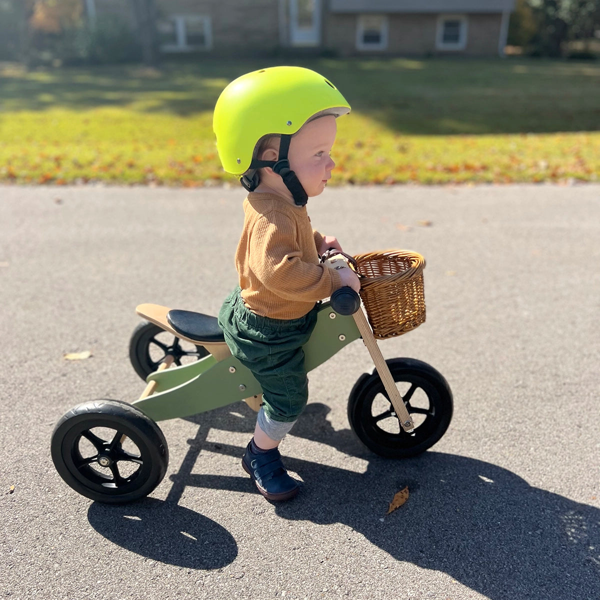 tiny balance bike