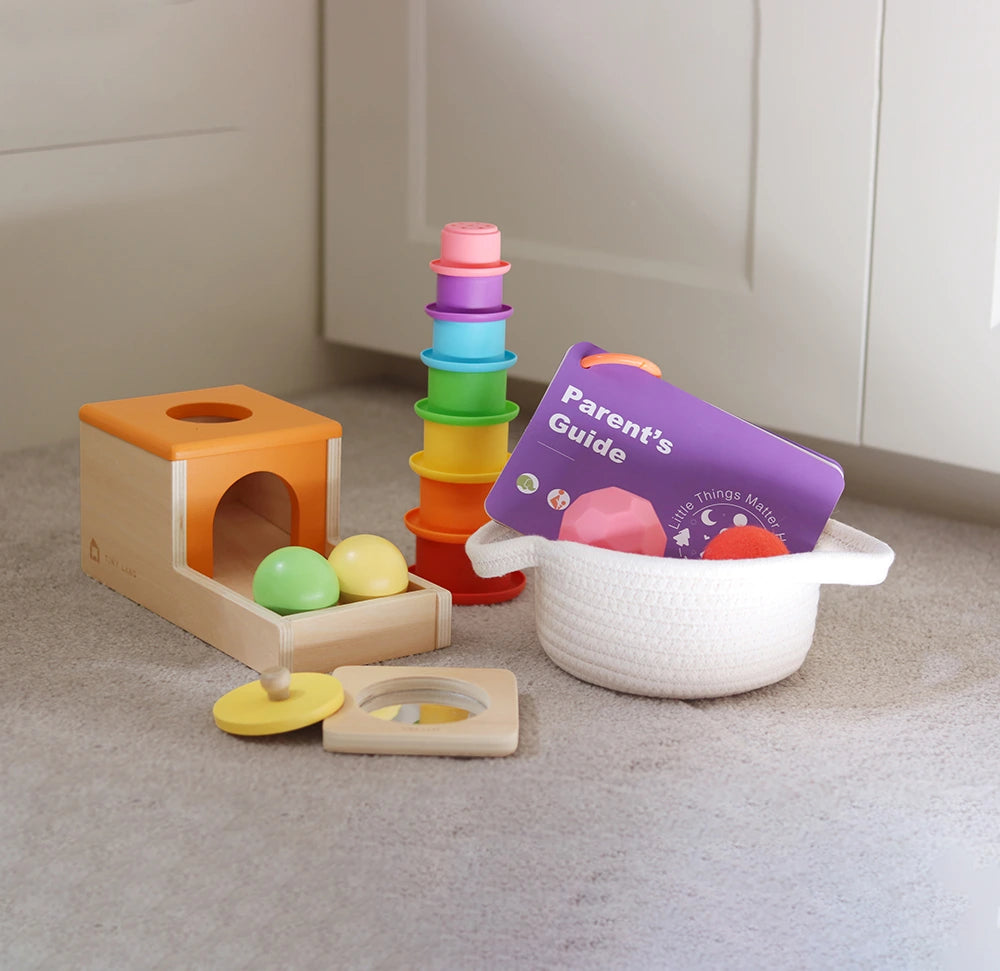 Tiny Land® Montessori Toys for Newborns (6–9 Months)